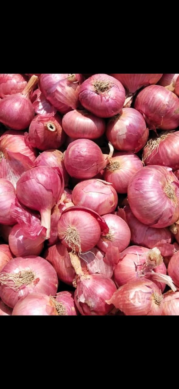 WhatsApp Image 2025-06-03 at 7.24.23 PM (3).jpeg